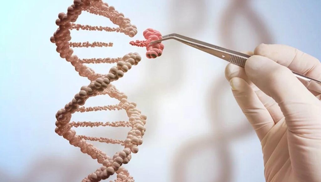 equipamentos modernos como testes genéticos para diagnóstico precoce em um Onco Check-up de rotina