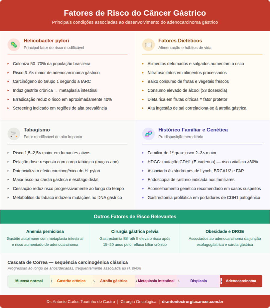 Infográfico sobre fatores de risco do câncer gástrico: H. pylori, dieta, tabagismo e histórico familiar — Dr. Antonio Carlos Tourinho de Castro